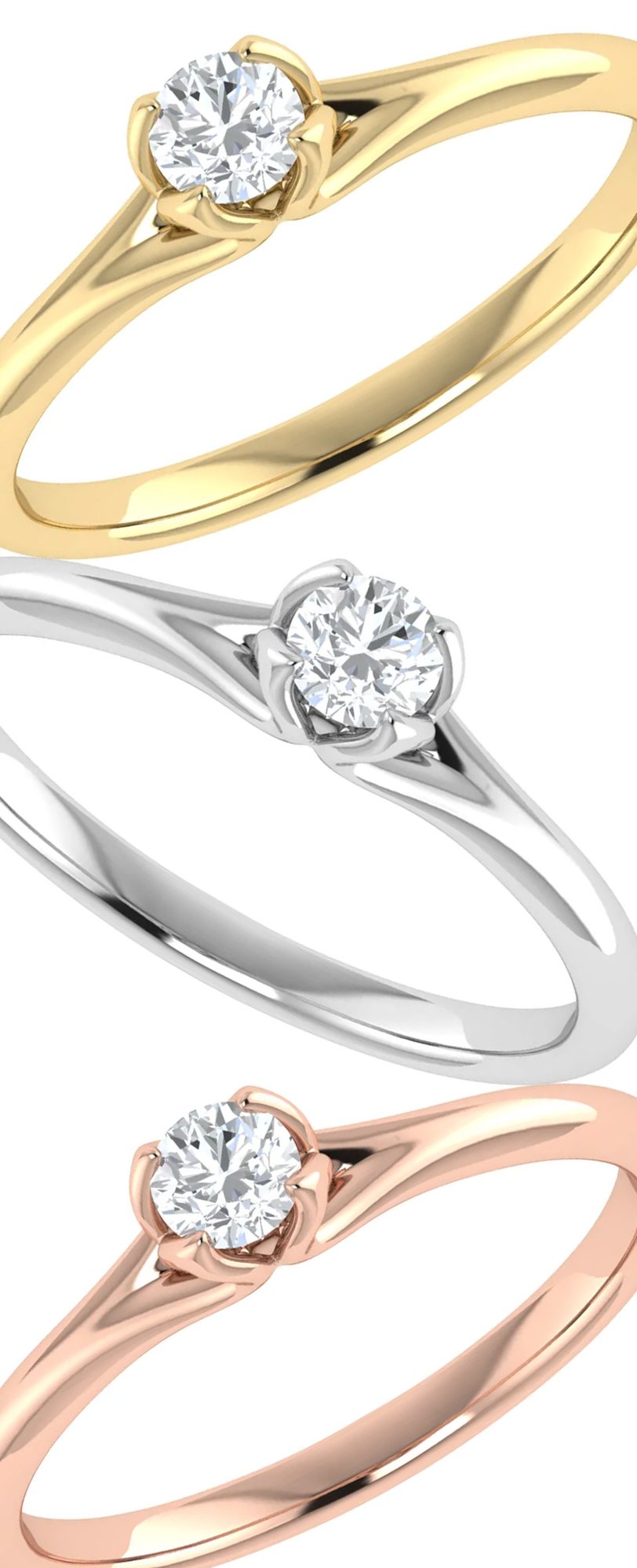 Anillos_1